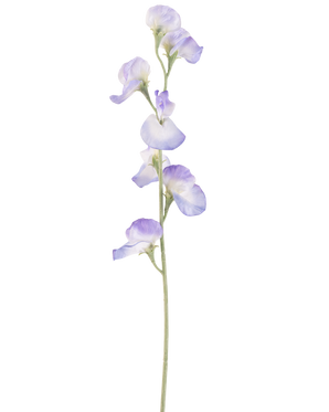 Une seule fleur de pois artificiels de 64 cm de lavande, avec plusieurs délicates fleurs violet clair et tiges vertes, isolées sur un fond blanc.