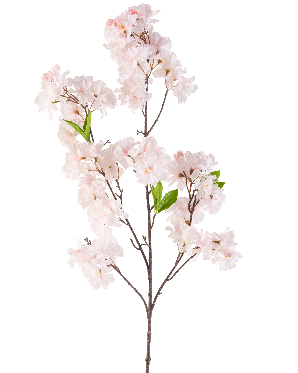 La Fleur Artificielle Fleur de Cerisier 119 cm blush possède une seule branche de fleur de cerisier avec des bouquets de fleurs rose clair et quelques feuilles vertes sur un fond blanc.