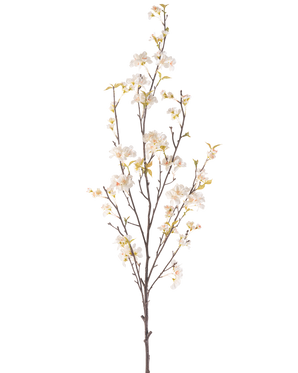 La Fleur de Cerisier Artificielle 150 cm crème possède une branche haute avec plusieurs tiges fines, de petites fleurs de cerisier blanches et des feuilles vertes éparses, le tout sur un fond blanc uni.
