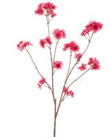 La fleur de cerisier artificielle 114 cm fuchsia présente une seule branche brune avec plusieurs tiges, chacune avec des grappes de fleurs de Noël artificielles fuchsia vibrantes sur un fond blanc uni.