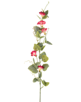 Une seule tige de fleur artificielle de liseron de 122 cm rouge, avec plusieurs fleurs artificielles rouges et feuilles vertes sur un fond blanc uni.