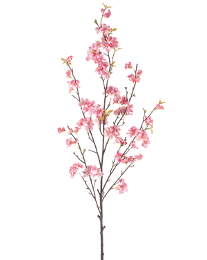 La Fleur de Cerisier Artificielle 150 cm rose possède une seule branche marron aux multiples tiges fines, décorée de bouquets de délicates fleurs de cerisier roses et de quelques feuilles vertes, isolées sur un fond blanc.