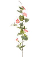 La fleur artificielle de liseron rose de 122 cm a une seule tige haute avec des feuilles vertes, de multiples fleurs roses en forme de trompette et des vrilles bouclées sur un fond blanc.