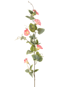 La fleur artificielle de liseron rose de 122 cm a une seule tige haute avec des feuilles vertes, de multiples fleurs roses en forme de trompette et des vrilles bouclées sur un fond blanc.
