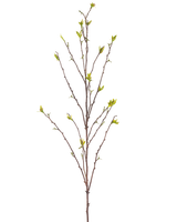 La Branche Artificielle Winterzoet 107 cm vert possède une seule branche nue avec de fines branches et de petites feuilles vertes aux extrémités, sur un fond uni blanc.
