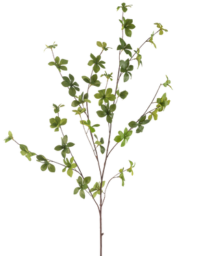 La Fleur Artificielle Enkianthus 119 cm verte possède une seule branche élancée avec de multiples ramifications et de petites feuilles vertes vibrantes, isolées sur un fond blanc.