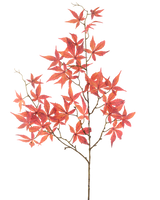 La fleur artificielle feuille d'érable 109 cm rouge possède de multiples branches fines décorées de feuilles d'érable rouge vif en forme d'étoile, joliment mises en valeur sur un fond blanc uni.