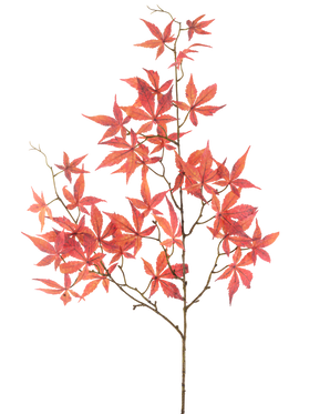 La fleur artificielle feuille d'érable 109 cm rouge possède de multiples branches fines décorées de feuilles d'érable rouge vif en forme d'étoile, joliment mises en valeur sur un fond blanc uni.