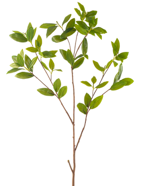 La Branche Artificielle Feuilles 117 cm verte possède une branche artificielle élancée avec de multiples ramifications, chacune avec des grappes de feuilles vertes lisses, sur un fond blanc uni.