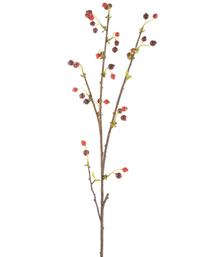 La Fleur Artificielle Rose Musquée 112 cm rouge possède une seule branche marron avec de petites baies rouges et violet foncé et quelques feuilles vert clair, sur un fond uni blanc.