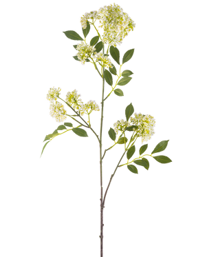 La Fleur Artificielle Carotte Sauvage 102 cm crème a une seule tige haute avec des bouquets de petites fleurs crème et plusieurs feuilles vertes dentelées sur fond blanc.