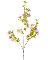 La Fleur Artificielle Quisqualis 110 cm violet a une tige longue et fine avec plusieurs feuilles vertes et des bouquets de délicates fleurs violet clair avec un cœur jaune sur fond blanc.