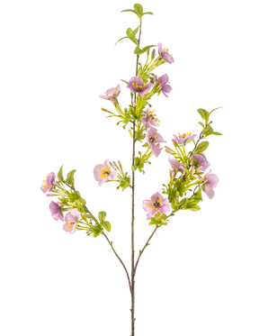 La Fleur Artificielle Quisqualis 110 cm violet a une tige longue et fine avec plusieurs feuilles vertes et des bouquets de délicates fleurs violet clair avec un cœur jaune sur fond blanc.