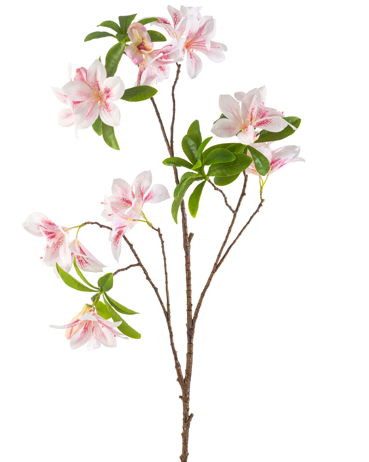 La fleur artificielle Begonia 99 cm blush a une seule branche avec de multiples fleurs de bégonia roses et blanches et des bouquets de feuilles vertes sur un fond blanc.