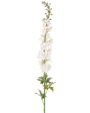 La Fleur Artificielle Larkspur 137 cm blanc est une haute tige d'éperon artificielle avec plusieurs petites fleurs blanches sur toute sa longueur et des feuilles vertes à la base, sur un fond blanc uni.
