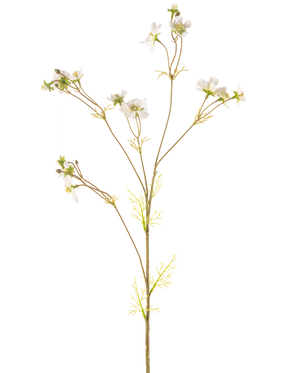 La Fleur Artificielle Cosmos 95 cm crème est une plante artificielle haute et délicate avec de fines tiges, de petites feuilles vertes et des bouquets de petites fleurs blanches au cœur jaune, représentées sur un fond blanc uni.