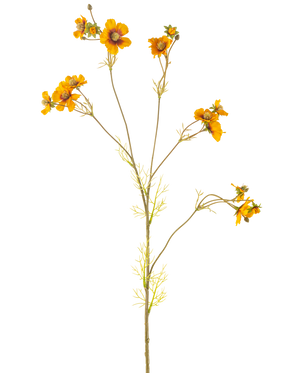 La Fleur Artificielle Cosmos 95 cm jaune a une seule tige haute avec de fines branches, chacune décorée de bouquets de fleurs jaune orangé vif et de feuilles vertes délicates, sur un fond blanc uni.