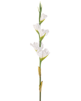 De Kunstbloem Gladiolen 83 cm wit is een enkele kunstmatige witte gladioolstengel met meerdere bloesems en groene knoppen, rechtopstaand tegen een effen witte achtergrond.