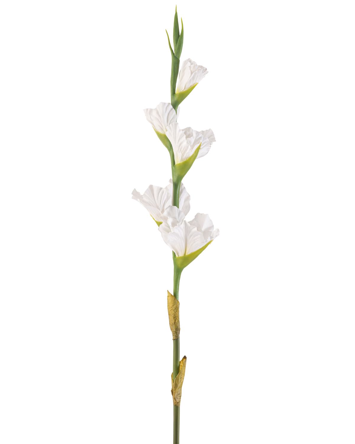 La Fleur Artificielle Glaïeul 83 cm blanc est une seule tige de glaïeul artificiel blanc avec de multiples fleurs et bourgeons verts, debout sur un fond blanc uni.