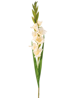 De Kunstbloem Gladiolen 93 cm crème is een kunstmatige witte gladioolstengel met meerdere bloesems, lange groene bladeren en verschillende groene knoppen aan de bovenkant, tegen een effen witte achtergrond.