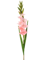 La fleur artificielle Gladiolus 93 cm rose a une seule tige avec plusieurs fleurs rose tendre et de longues feuilles vertes, représentées sur un fond blanc.