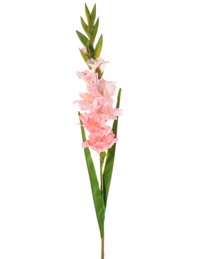 La fleur artificielle Gladiolus 93 cm rose a une seule tige avec plusieurs fleurs rose tendre et de longues feuilles vertes, représentées sur un fond blanc.