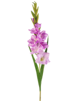 Une seule tige de glaïeul de fleur artificielle de 93 cm avec plusieurs fleurs roses et violet clair avec de longues feuilles vertes, isolées sur fond blanc.