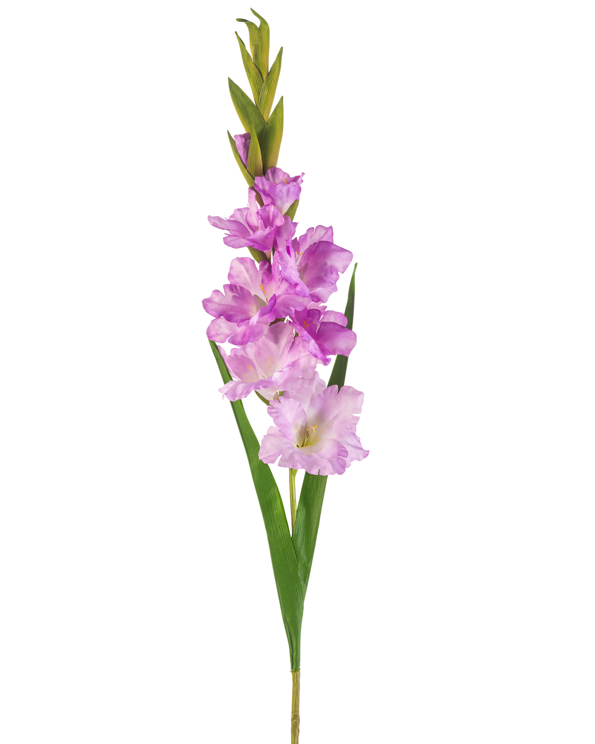 Une seule tige de glaïeul de fleur artificielle de 93 cm avec plusieurs fleurs roses et violet clair avec de longues feuilles vertes, isolées sur fond blanc.