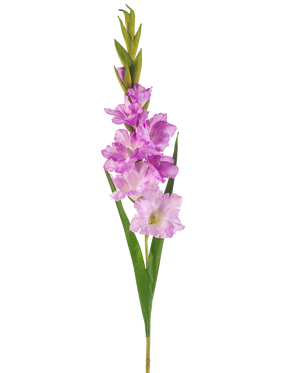 La Fleur Artificielle Glaïeul 93 cm violet est une tige de glaïeul artificiel avec des fleurs violet clair et roses, des feuilles et des bourgeons verts sur fond blanc.