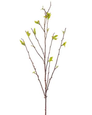 La Fleur Artificielle Winterzoet 81 cm verte est une branche artificielle avec de fines tiges brunes et de petites feuilles vertes sur fond blanc.