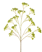 La Boite à Semences Branches Artificielles 80 cm verte possède une tige unique ramifiée avec plusieurs grappes de petites feuilles vertes, toutes disposées symétriquement sur un fond blanc.