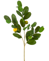 La Branche Artificielle Citron 80 cm vert possède une branche avec de larges feuilles vertes brillantes et trois fruits ronds jaune-vert, sur un fond uni blanc.