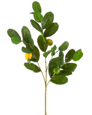 La Branche Artificielle Citron 80 cm vert possède une branche avec de larges feuilles vertes brillantes et trois fruits ronds jaune-vert, sur un fond uni blanc.