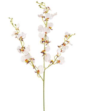 L'Orchidée Fleur Artificielle 98 cm crème est une unique tige d'orchidée crème artificielle avec de multiples fleurs délicates et de multiples bourgeons, avec des centres jaunes et violets, isolés sur un fond blanc uni.