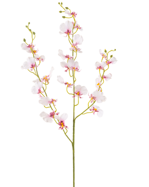 La fleur d'orchidée artificielle 98 cm blush a une seule longue tige avec de multiples fleurs et bourgeons d'orchidées rose clair délicats, de fines branches vertes et de petites feuilles ovales, le tout sur un fond blanc uni.
