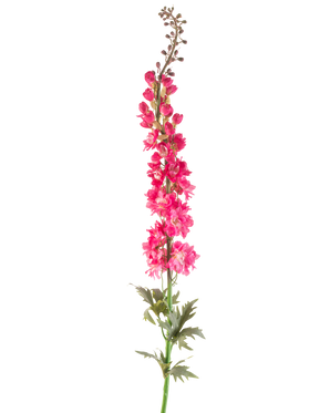 Une seule fleur artificielle Larkspur de 137 cm de couleur rose vif avec des feuilles vertes, isolée sur fond blanc.