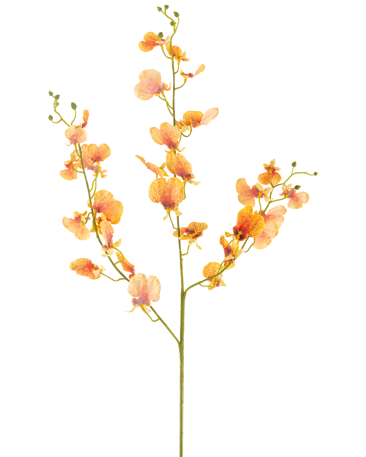 L'Orchidée Fleur Artificielle 98 cm jaune a une tige unique avec de multiples branches de fleurs d'orchidée jaunes et de bourgeons verts, sur un fond blanc uni.
