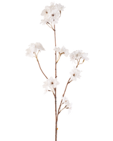 La Fleur de Cerisier Artificielle 85 cm crème a une fine tige marron avec de multiples branches contenant des bouquets de délicates fleurs de cerisier artificielles crème, le tout sur un fond blanc uni.