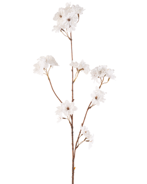 La Fleur de Cerisier Artificielle 85 cm crème a une fine tige marron avec de multiples branches contenant des bouquets de délicates fleurs de cerisier artificielles crème, le tout sur un fond blanc uni.