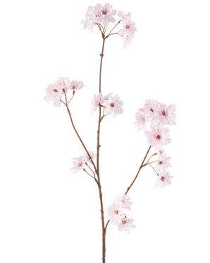 La Fleur de Cerisier Artificielle 85 cm rose clair a une seule tige marron mince avec des bouquets de délicates fleurs de cerisier rose clair, joliment isolées sur un fond blanc.