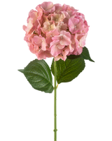 La fleur artificielle Hortensia 75 cm rose possède une seule fleur d'hortensia rose aux pétales fins et deux grandes feuilles vertes sur une longue tige verte, sur un fond blanc.
