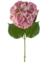 La fleur d'hortensia artificielle 75 cm mauve présente une seule fleur d'hortensia mauve avec des feuilles vertes sur une longue tige, sur un fond blanc.