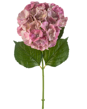 La fleur d'hortensia artificielle 75 cm mauve présente une seule fleur d'hortensia mauve avec des feuilles vertes sur une longue tige, sur un fond blanc.