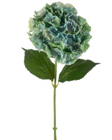 L'Hortensia Fleur Artificielle 75 cm bleu paon possède un seul hortensia artificiel bleu avec des grappes rondes de pétales et deux grandes feuilles vertes sur une longue tige, isolées sur un fond blanc.