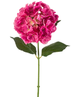 Une seule tige de fleur d'hortensia artificielle de 75 cm rose vif avec des bouquets de pétales rose vif et quelques feuilles vertes, sur un fond blanc uni.