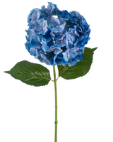 La fleur artificielle Hortensia 75 cm bleu a une seule tige d'hortensia bleue avec une grappe ronde de pétales et deux grandes feuilles vertes sur un fond blanc uni.