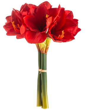 La Fleur Artificielle Amaryllis Real Touch rouge 36 cm présente des fleurs d'amaryllis rouge vif avec des tiges vertes, liées entre elles par un élastique, sur un fond blanc uni.