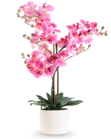 L'Orchidée Artificielle Real Touch 68 cm rose présente une orchidée rose vif avec de multiples tiges et feuilles vertes dans un pot en céramique blanche, sur un fond blanc uni.