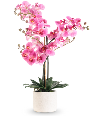 L'Orchidée Artificielle Real Touch 68 cm rose présente une orchidée rose vif avec de multiples tiges et feuilles vertes dans un pot en céramique blanche, sur un fond blanc uni.