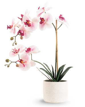 L'Orchidée Artificielle Real Touch 60 cm rose/blanc présente des fleurs rose clair et blanches avec des feuilles vert foncé, soutenues par un bâton de bambou, sur un fond blanc uni.